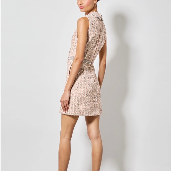 Alice & Olivia Ellis Pink Embellished Mini Dress NWT - Picture 4 of 16